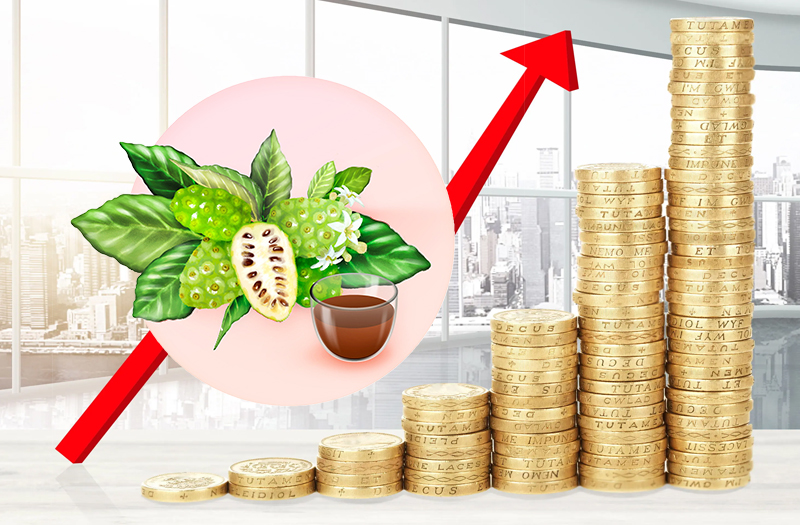 RCEP實施在即 海南產諾麗果酵素加速走出國門 【中華人民共和國海口海關】